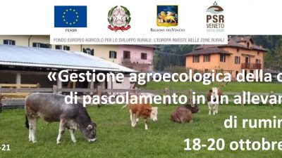 Gestione agroecologica della catena  di pascolamento in un allevamento  di ruminanti