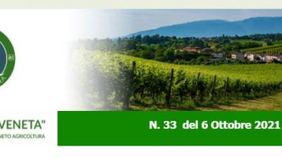 NEWSLETTER “AGRICOLTURA VENETA” N. 33 DEL 6.10.2021
