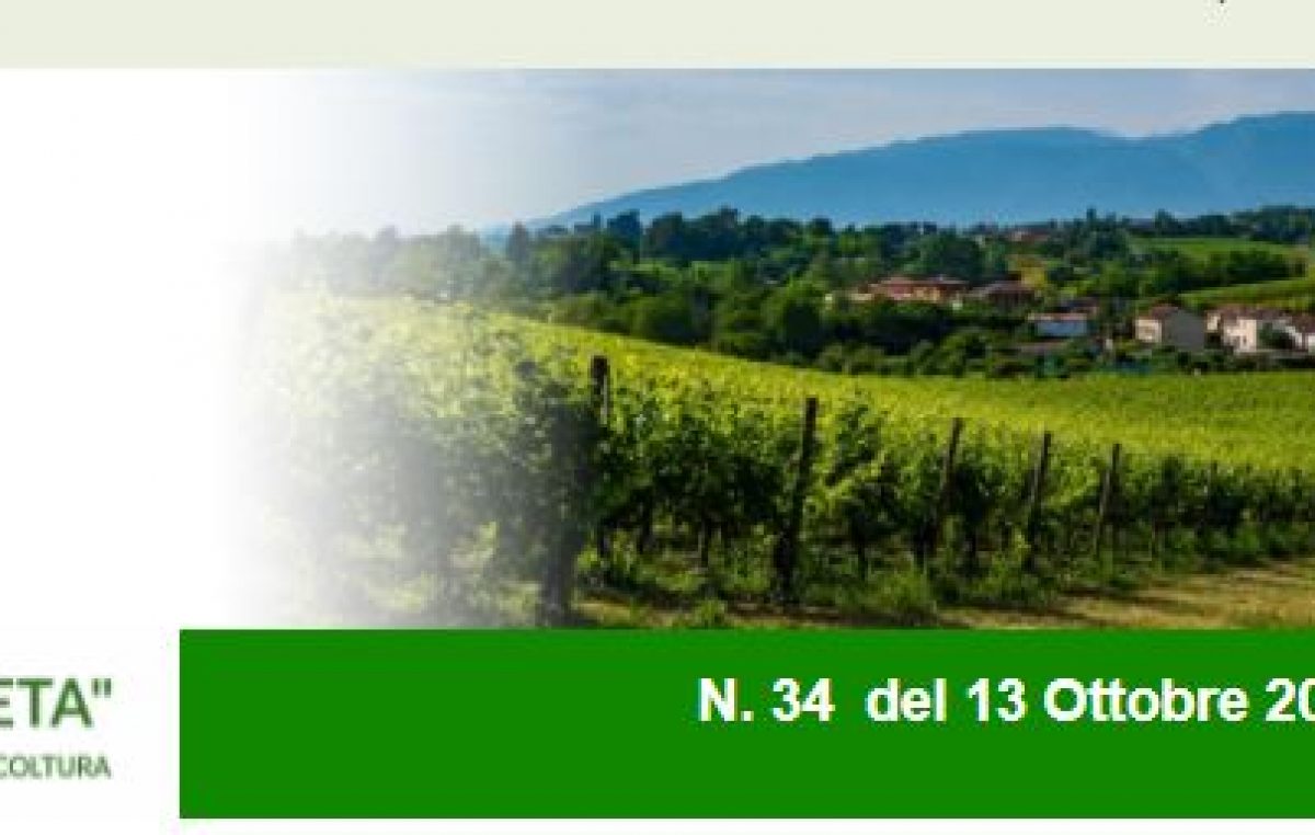 Newsletter Agricoltura Veneta n. 34 del 13.10.2021