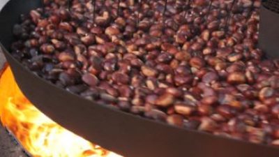 POST COVID, SI CERCA LA QUALITÀ. QUELLA VENETA AGROALIMENTARE FA (QUASI) 90.