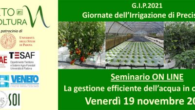 La gestione efficiente dell’acqua in orticoltura