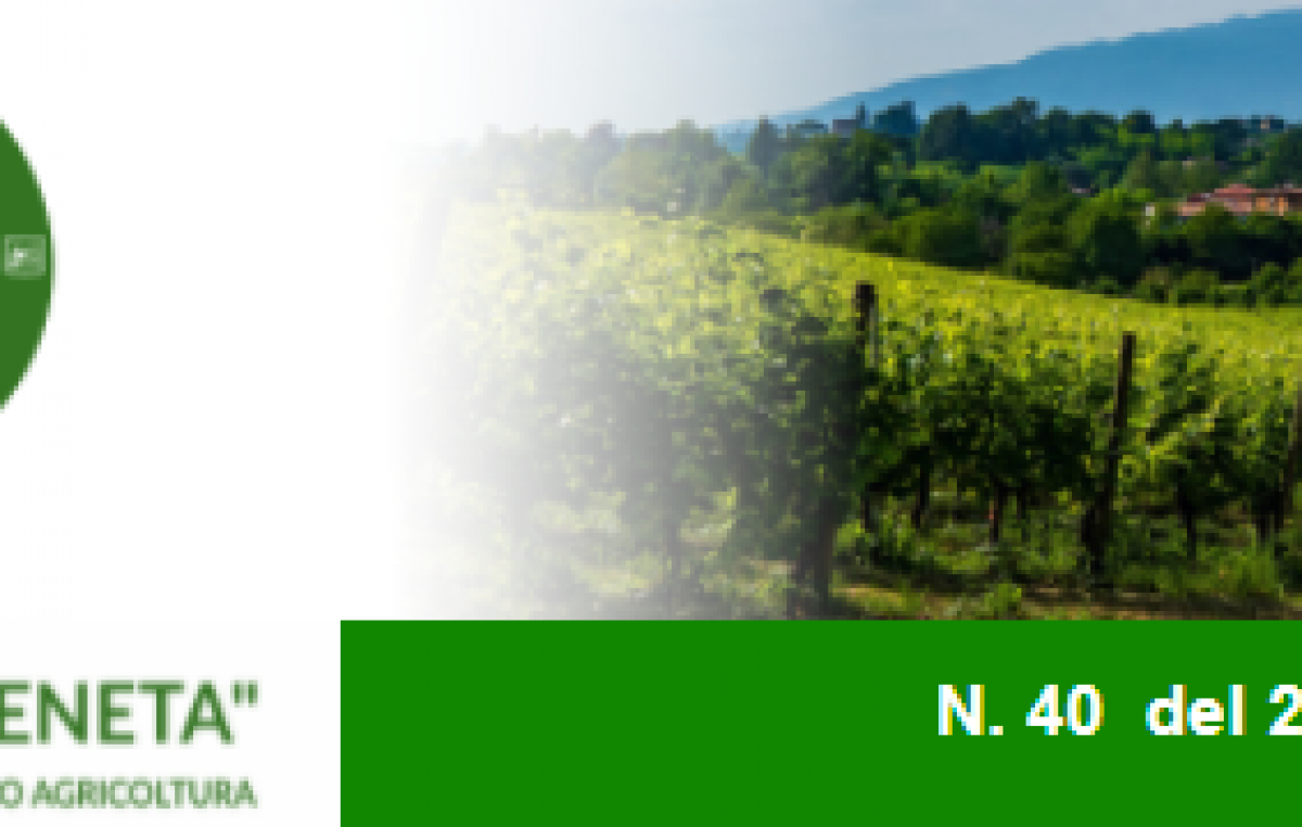 Newsletter “Agricoltura Veneta” n. 40 del 24 novembre 2021