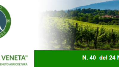 Newsletter “Agricoltura Veneta” n. 40 del 24 novembre 2021