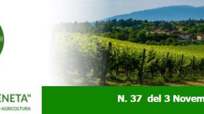 Newsletter “Agricoltura Veneta” n. 37 del 3.11.2021