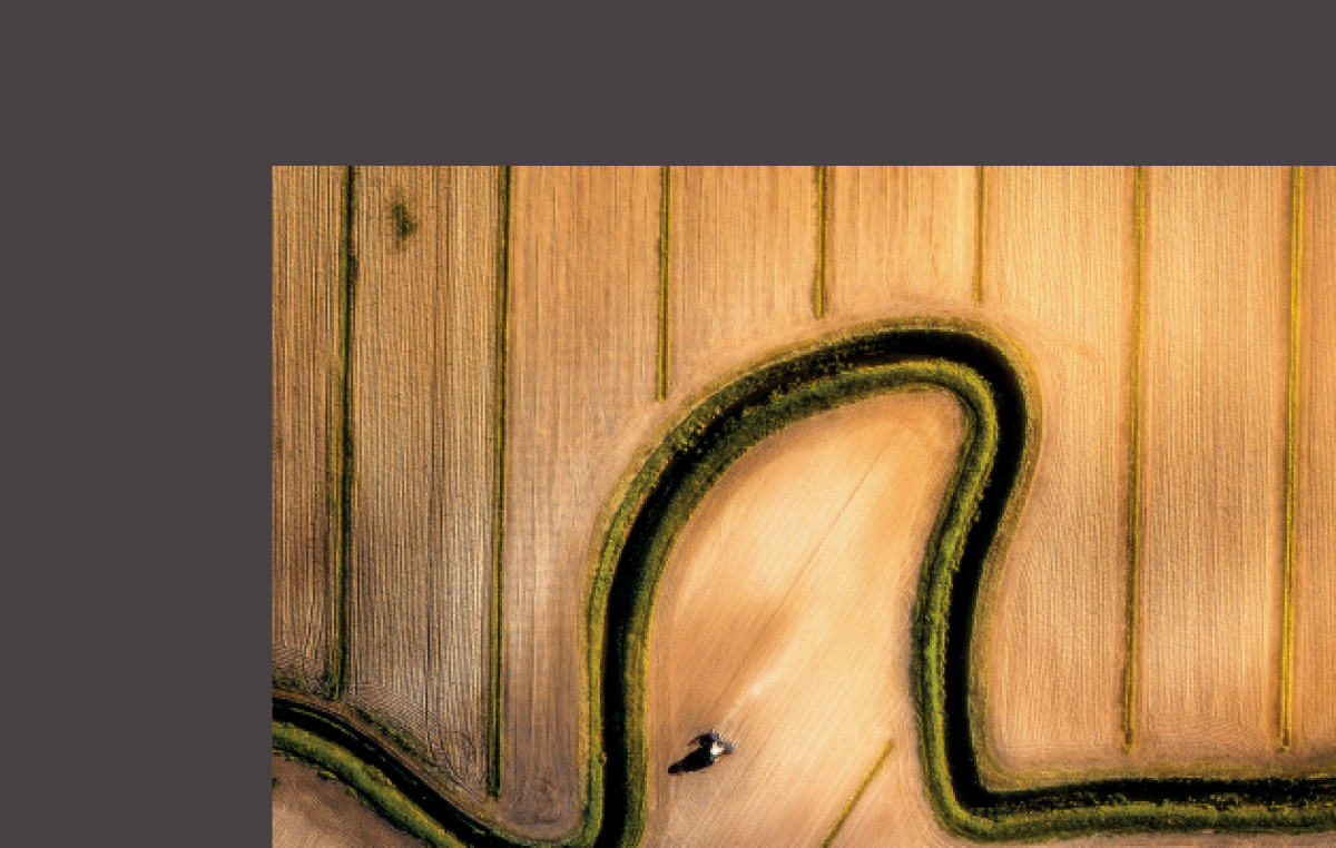 100° DI VENETO AGRICOLTURA, VENERDI’ LE CELEBRAZIONI E LA PRESENTAZIONE DI UN LIBRO