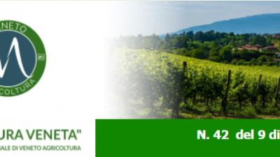 Newsletter “Agricoltura Veneta” n. 42 del 9 dicembre 2021