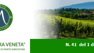 Newsletter Agricoltura Veneta n. 41 del 1 dicembre 2021