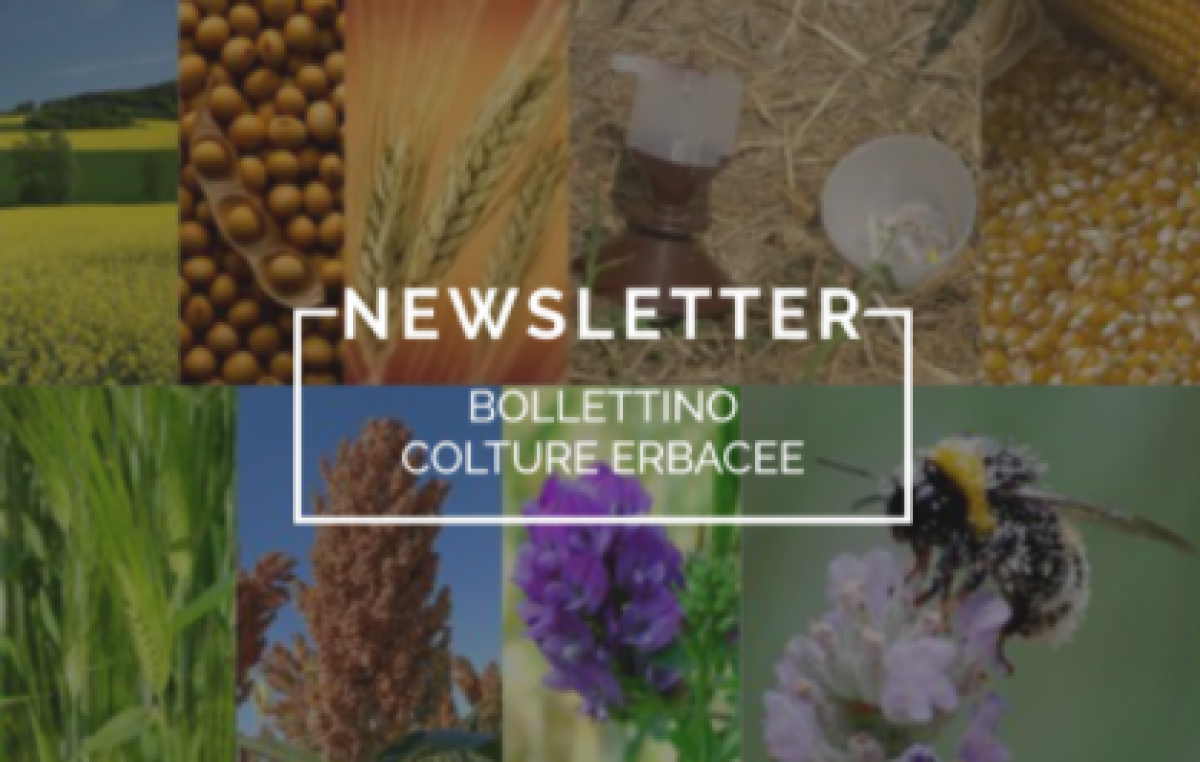 SEMPRE PIU’ INNOVATIVA L’INFORMAZIONE REGIONALE PER UN’AGRICOLTURA SOSTENIBILE 