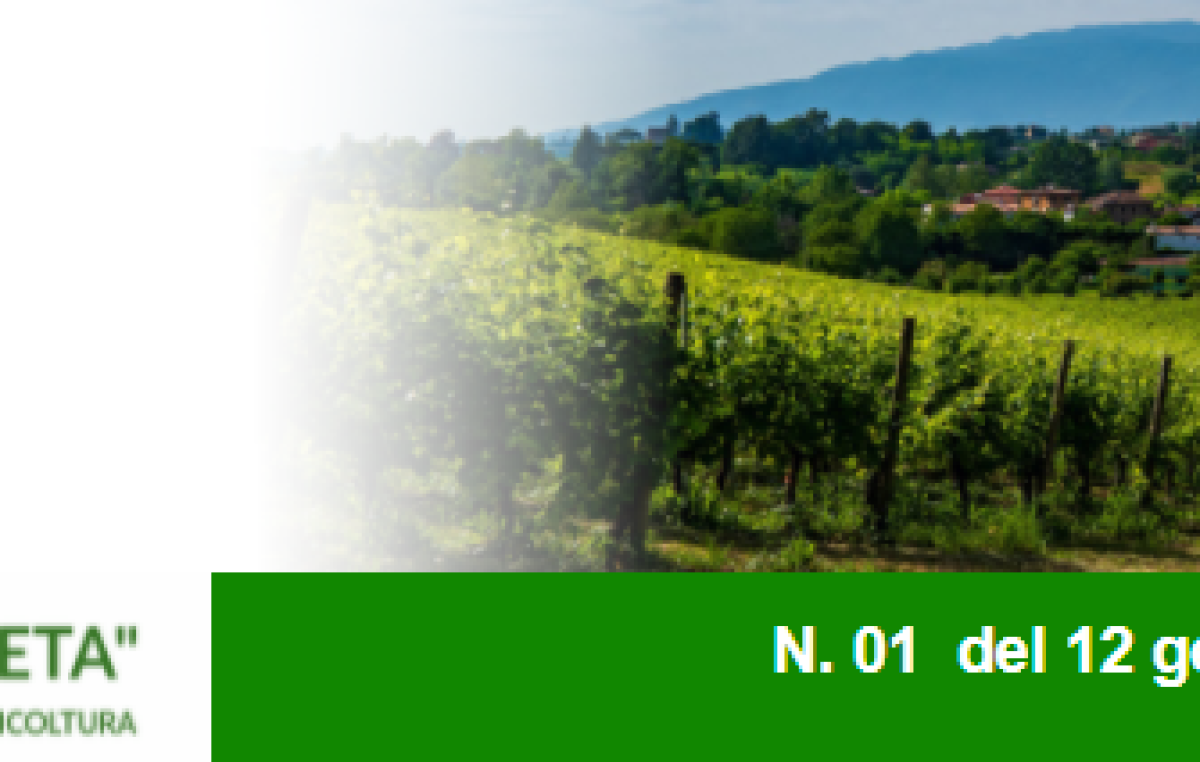 NEWSLETTER AGRICOLTURA VENETA N. 1 DEL 12 GENNAIO 2022