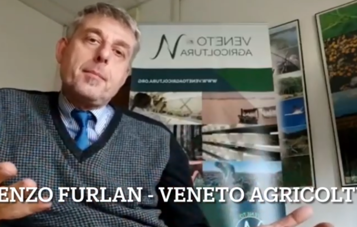 Focus Colture Erbacee n. 5/2022 – aggiornamento 21-28 febbraio 2022