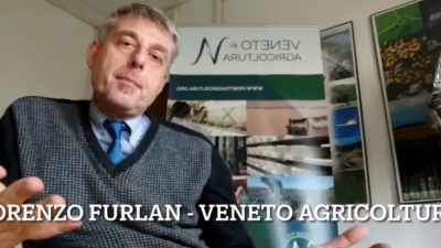 Focus Colture Erbacee n. 5/2022 – aggiornamento 21-28 febbraio 2022
