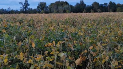 L’AGRICOLTURA VENETA NEL 2021: INVITO ALLA CONFERENZA STAMPA ON-LINE 8 FEBBRAIO (ORE 11:00)