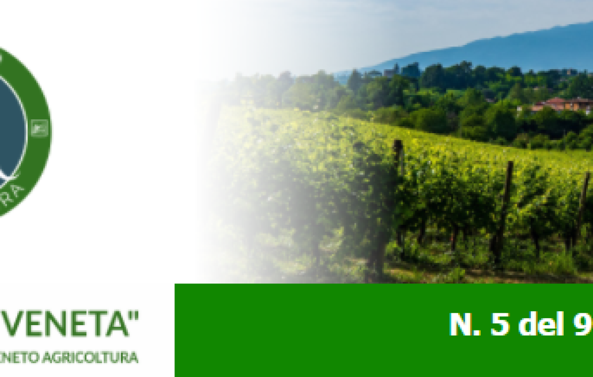 Newsletter Agricoltura Veneta n. 05 del 9 febbraio 2022
