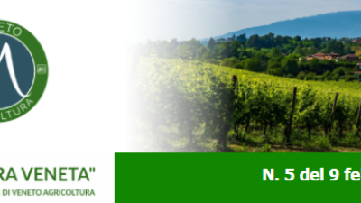 Newsletter Agricoltura Veneta n. 05 del 9 febbraio 2022