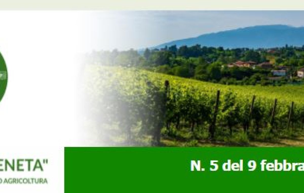 NEWSLETTER N. 5 DEL 9.2.2022