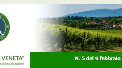 NEWSLETTER N. 5 DEL 9.2.2022