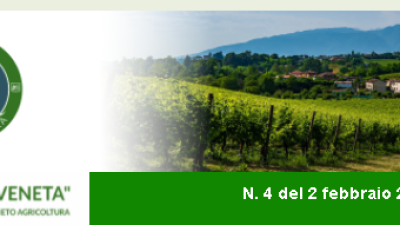 Newsletter Agricoltura Veneta n. 04 del 2 febbraio 2022