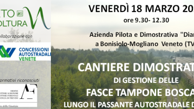 CANTIERE DIMOSTRATIVO  DI GESTIONE DELLE  FASCE TAMPONE BOSCATE