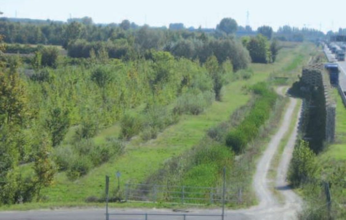 PASSANTE DI MESTRE: CANTIERE DIMOSTRATIVO DI VENETO AGRICOLTURA E CAV SULLA MULTIFUNZIONALITA’ DELLE BANDE BOSCATE FONOASSORBENTI