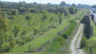 PASSANTE DI MESTRE: CANTIERE DIMOSTRATIVO DI VENETO AGRICOLTURA E CAV SULLA MULTIFUNZIONALITA’ DELLE BANDE BOSCATE FONOASSORBENTI