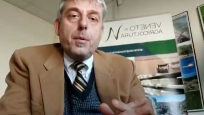 Focus Colture Erbacee n. 7/2022 – Aggiornamento 7-13 marzo