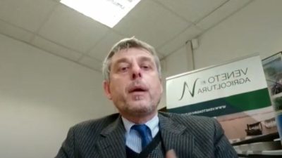 Focus Bollettino Colture Erbacee n. 9/2022 – Aggiornamento 14-21 marzo 2022
