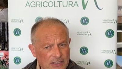 Come è andato il comparto lattiero-caseario veneto nel 2021?