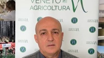 Vitivinicolo: com’è andato il comparto veneto nel 2021?