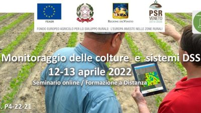 Monitoraggio delle colture e sistemi DSS