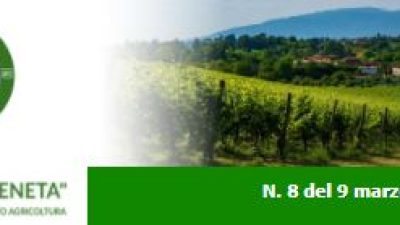 NEWSLETTER “AGRICOLTURA VENETA” N. 8 DEL 9.3.2022