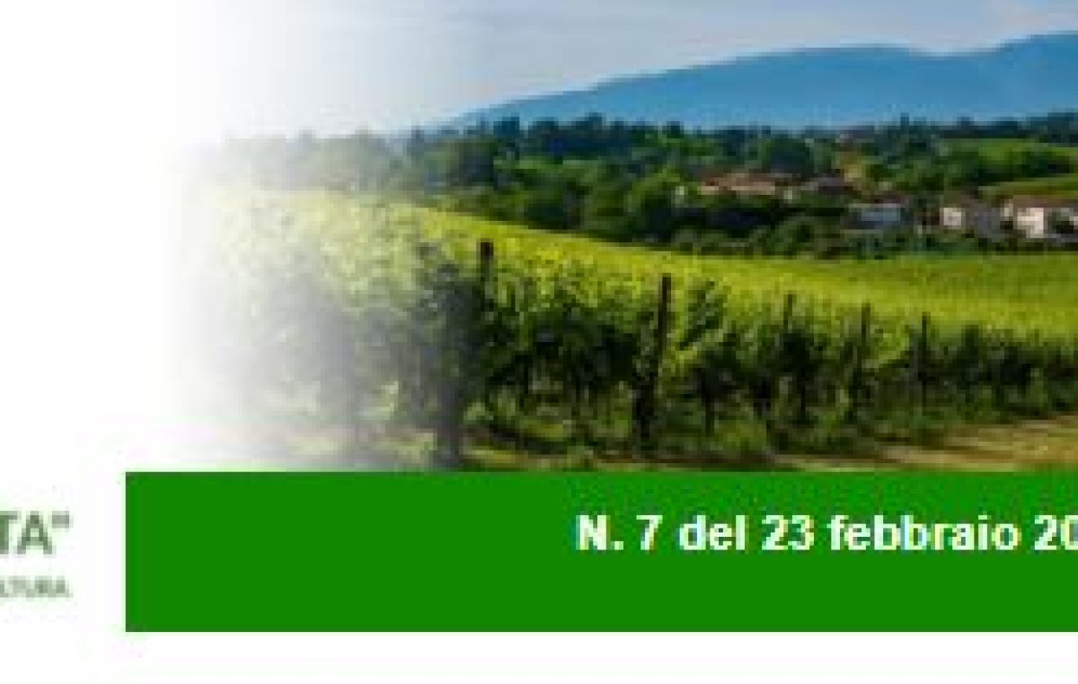 Newsletter Agricoltura Veneta n. 7 del 23.2.2022