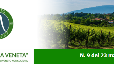 Newsletter Agricoltura Veneta n. 9 del 23 marzo 2022