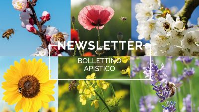 Bollettino Apistico n°2/2022 del 30.3.22 – METEO, API E INDICAZIONI DI TECNICA APISTICA