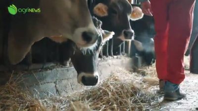 AgriNews n. 3 del 18 aprile 2022