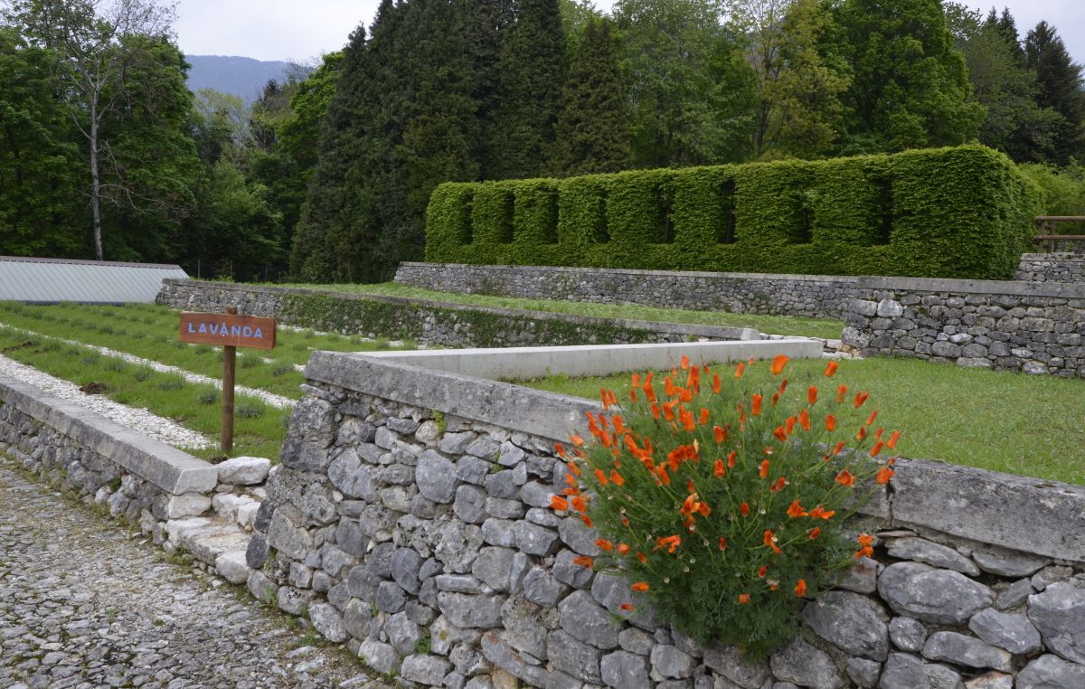 DOMENICA 1° MAGGIO AL BOSCO NORDIO E AL GIARDINO ASTEGO