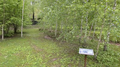 VENETO AGRICOLTURA A “ESTE IN FIORE”: FOCUS SUI GIARDINI REGIONALI