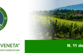 Newsletter n. 11 del 6 aprile 2022