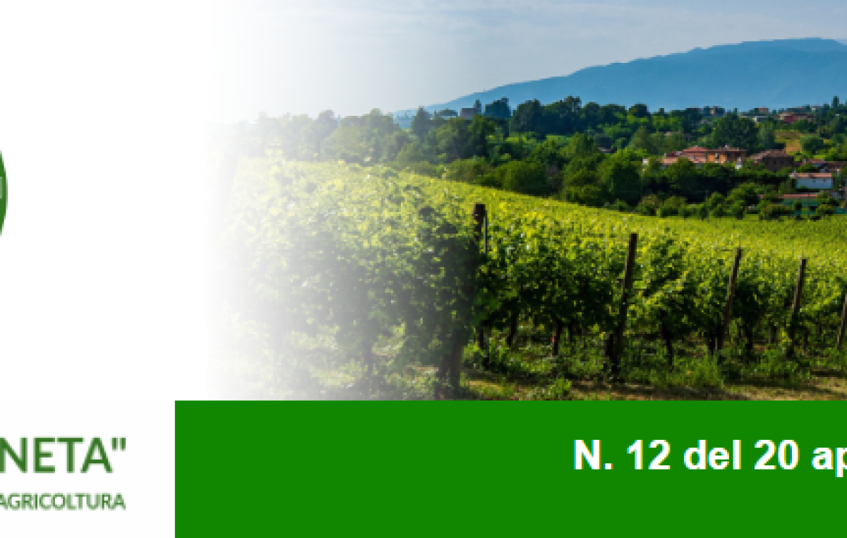 Newsletter n. 12 del 20 aprile 2022
