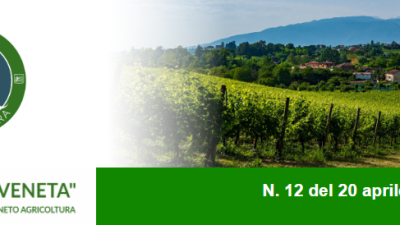 Newsletter n. 12 del 20 aprile 2022