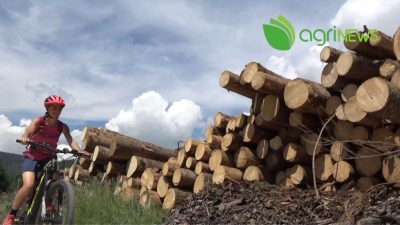 AgriNews n. 13 del 23 maggio 2022