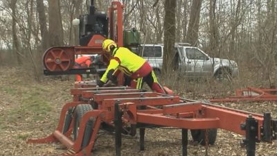 MARCA TREVIGIANA: LIFE PALU’ QUARTIER DEL PIAVE, QUATTRO VIDEO DI VENETO AGRICOLTURA SUL TAGLIO DELLE ALBERATURE E L’UTILIZZO DEL LEGNAME