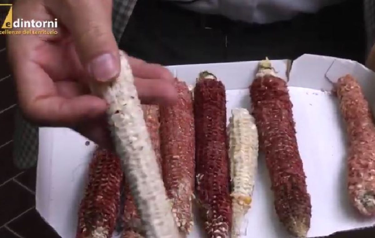 20 MAGGIO, GIORNATA NAZIONALE DELLA BIODIVERSITA’ AGROALIMENTARE: TRE VIDEO SULLE COMUNITA’ DEL CIBO DEL VENETO E ALTRE INIZIATIVE SUL TERRITORIO