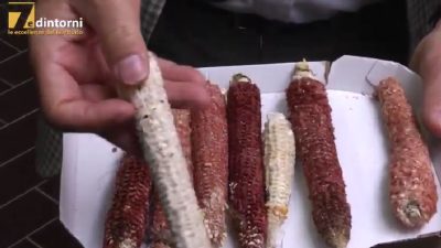 20 MAGGIO, GIORNATA NAZIONALE DELLA BIODIVERSITA’ AGROALIMENTARE: TRE VIDEO SULLE COMUNITA’ DEL CIBO DEL VENETO E ALTRE INIZIATIVE SUL TERRITORIO