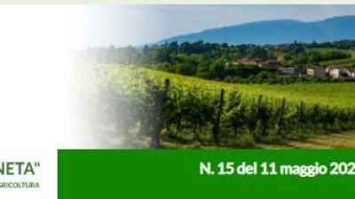 Newsletter Agricoltura Veneta n. 15 del 11 maggio 2022