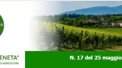 Newsletter Agricoltura Veneta n. 17 del 25 maggio 2022