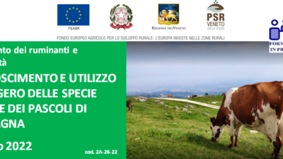 Allevamento dei ruminanti e biodiversità