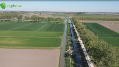 AgriNews n. 23 del 27 giugno 2022 – Il TG dell’agricoltura veneta