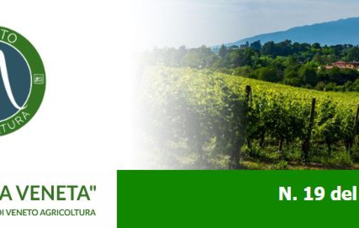 Newsletter Agricoltura Veneta n. 19/2022 del 8 giugno