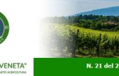 Newsletter Agricoltura Veneta n. 21 del 23 giugno 2022