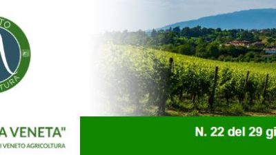 Newsletter Agricoltura Veneta n. 22 del 29 giugno 2022